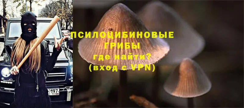 Псилоцибиновые грибы GOLDEN TEACHER  Благовещенск 